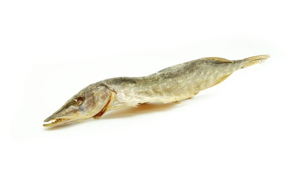 Three sea roach fishes isolated on the white background