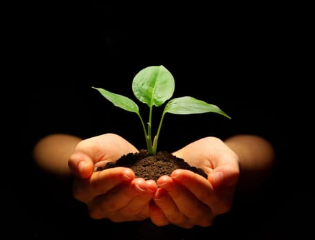 Hands holding sapling in soil on black