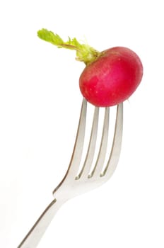 Radish on a fork isolated on white background