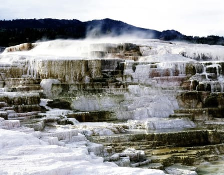 Minerva Terrace in Yellowstone National Park