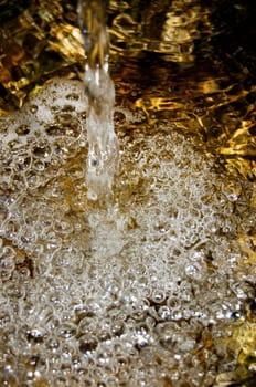 Stream of spring water in forest