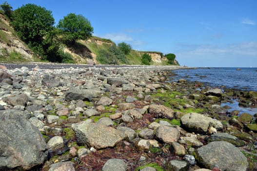 CliffBoltenhagen