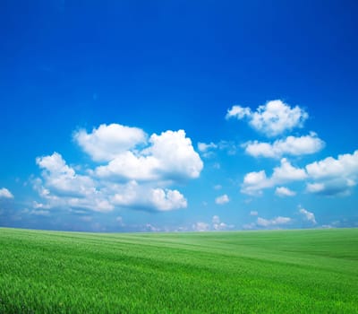 green field and blue sky..