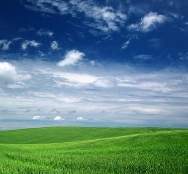 green field and blue sky