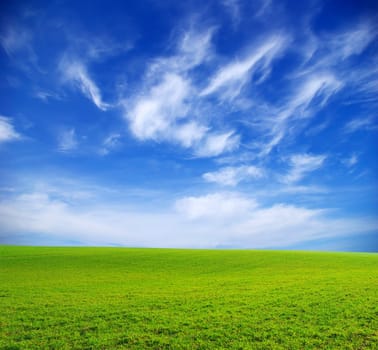 field on a background of the blue sky