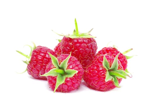 fresh raspberry closeup isolated on white background