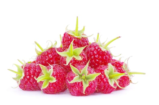 fresh raspberry closeup isolated on white background