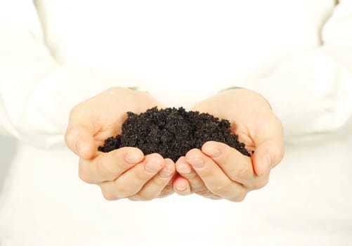 earth in hands isolated on a white background