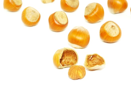 Much hazelnuts isolated on white