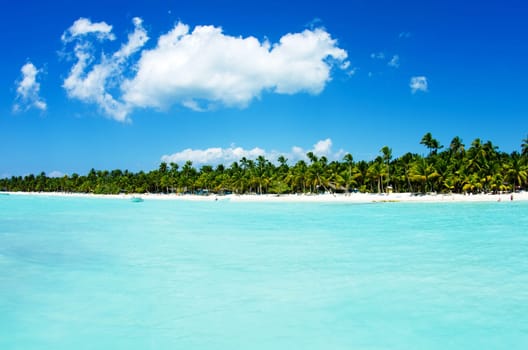 tropical sea under the blue sky