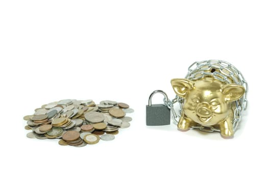 piggy bank  isolated on white background with coins