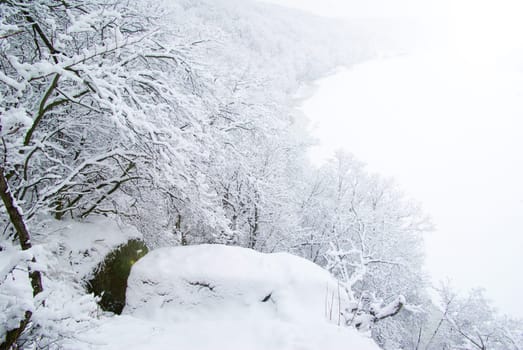 Winter landscape with snowy trees