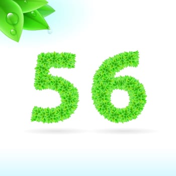Sans serif font with green leaf decoration on white background. 5 and 6 numerals