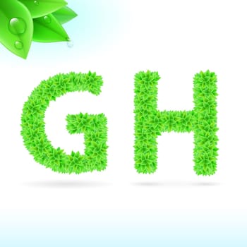 Sans serif font with green leaf decoration on white background. G and H letters