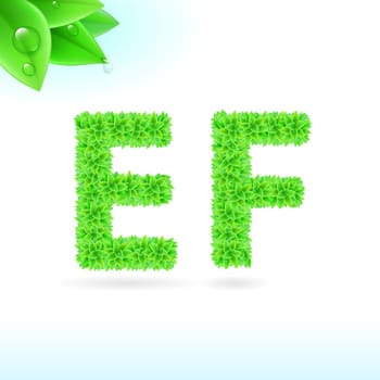 Sans serif font with green leaf decoration on white background. E and F letters