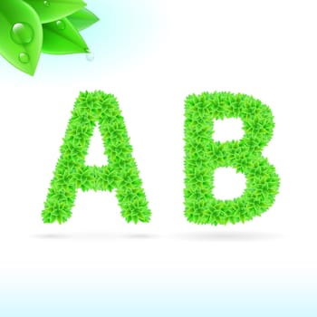 Sans serif font with green leaf decoration on white background. A and B letters