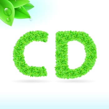 Sans serif font with green leaf decoration on white background. C and D letters