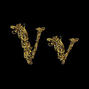Richly decorated letter 'v' in upper and lower case.