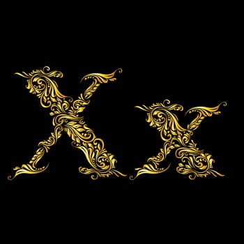 Richly decorated letter 'x' in upper and lower case.