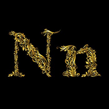 Richly decorated letter 'n' in upper and lower case.