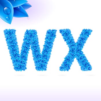Sans serif font with blue leaf decoration on white background. W and X letters