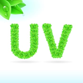 Sans serif font with green leaf decoration on white background. U and V letters