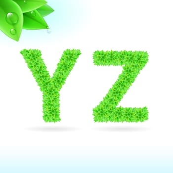 Sans serif font with green leaf decoration on white background. Y and Z letters
