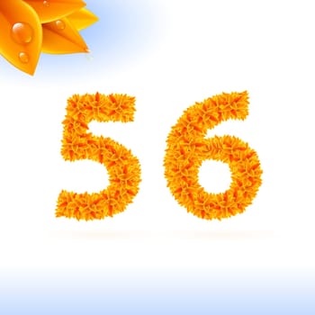 Sans serif font with autumn leaf decoration on white background. 5 and 6 numerals