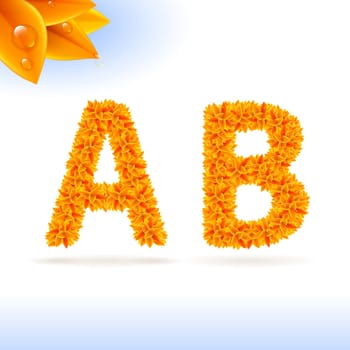 Sans serif font with orange leaf decoration on white background. A and B letters