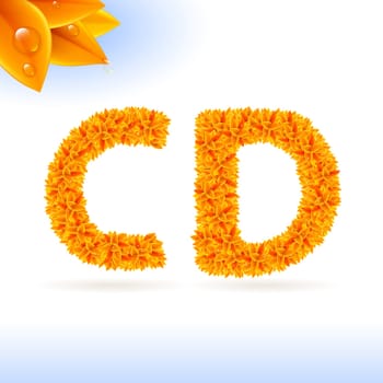 Sans serif font with orange leaf decoration on white background. C and D letters