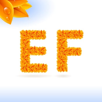 Sans serif font with orange leaf decoration on white background. E and F letters