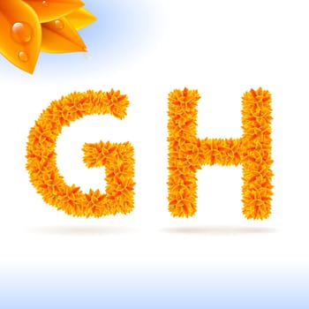 Sans serif font with orange leaf decoration on white background. G and H letters
