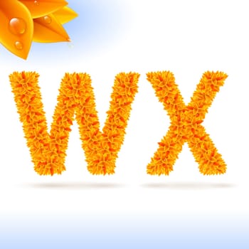 Sans serif font with orange leaf decoration on white background. W and X letters