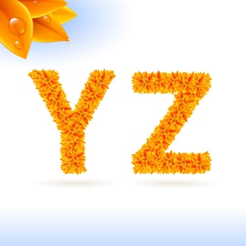 Sans serif font with orange leaf decoration on white background. Y and Z letters