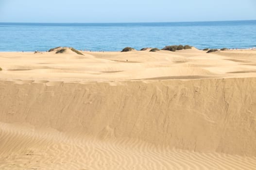 African European Sand Dune Desert Landscape in Gran Canaria Island Spain