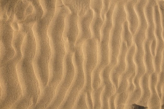 Texture Sand Dune Desert in Gran Canaria Island Spain