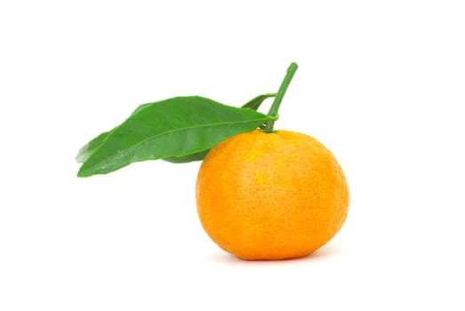 mandarin isolated on a white background