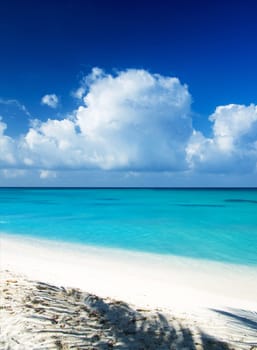 beautiful beach and tropical sea..