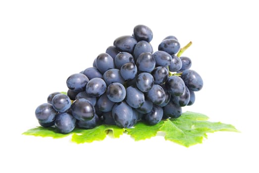 Fresh grapes brunch with green leafs
