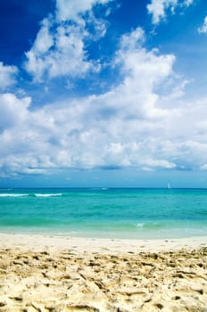 tropical sea under the blue sky