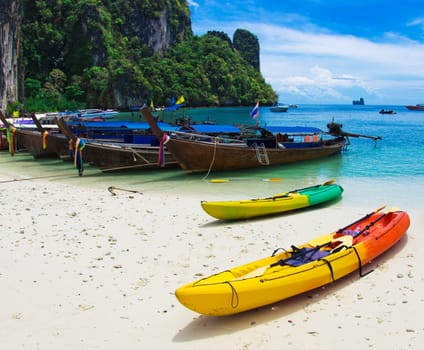 beautiful beach and tropical sea