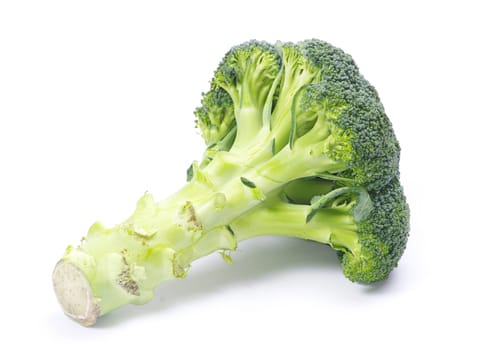 Ripe broccoli isolated on white