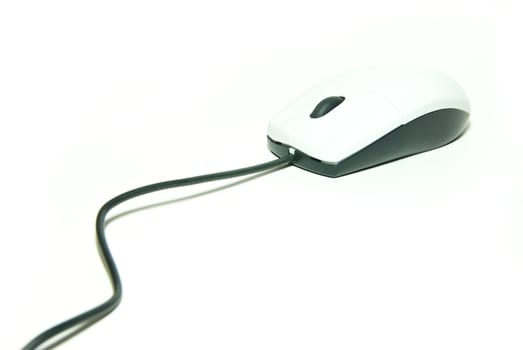 computer mouse isolated on white background