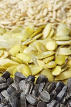 Close up image of sunflower and pumpkin seeds