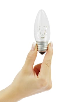 hand holding bulb isolated on white background