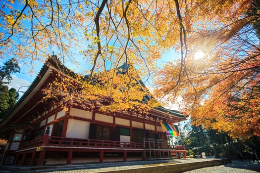 Otsu, Shiga Prefecture, Japan - November 22, 2013: Kojyoin Tsukimido in Achi village, Nagano, Japan