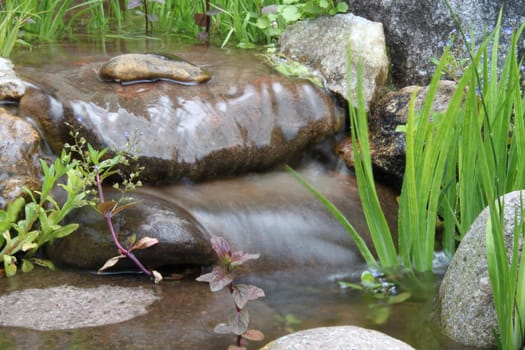 Stream course at the garden pond