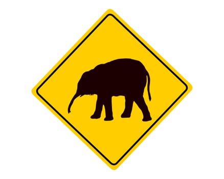 Attention Dumbo