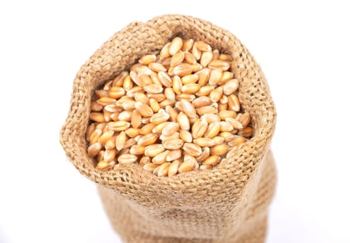 Grain bag on white