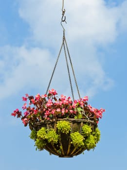 Flower hanging basket